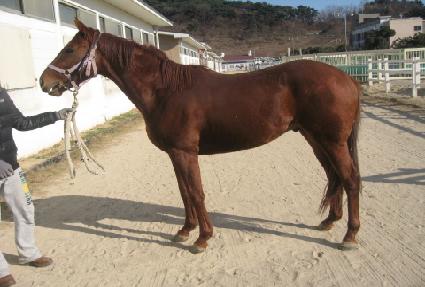 �н�Ʈ�̳��� ����