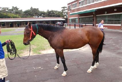 ���� ����