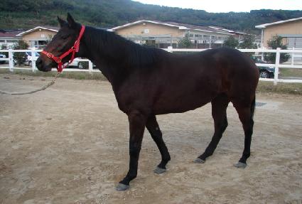 ����޸� ����