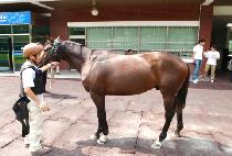 �帲ī (DREAMCAR) ����