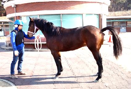 Ǫ������ ����