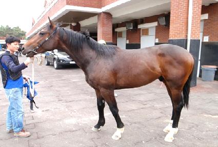 ����Ʈ������ ����