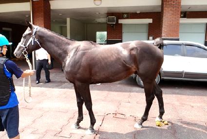 �����׸��� ����