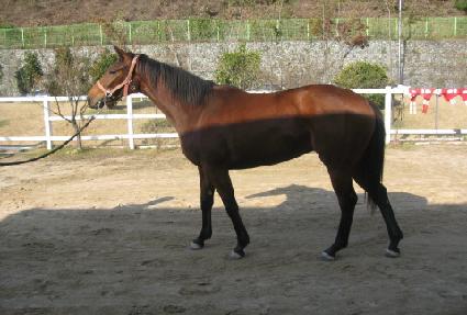 ������ȶ�� ����