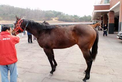 �ʵ巯�� ����