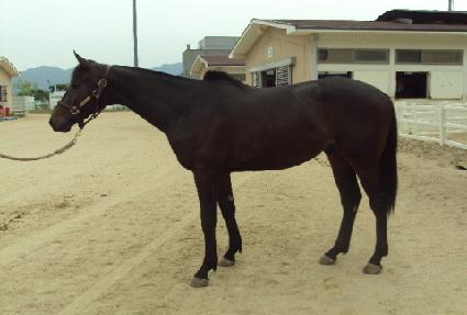 ��¸�� ����