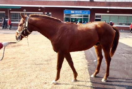 ���̽��ö�� ����