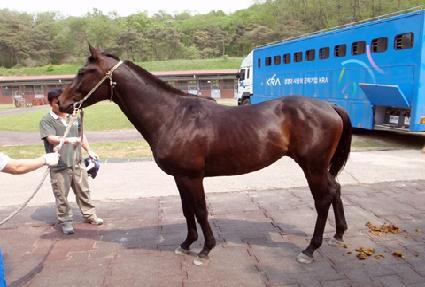 ���è�� ����