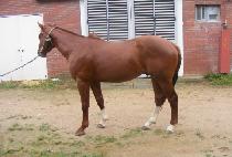 �밨���� (YONGGAMHAN HYEONG) ����