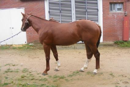 �밨���� ����