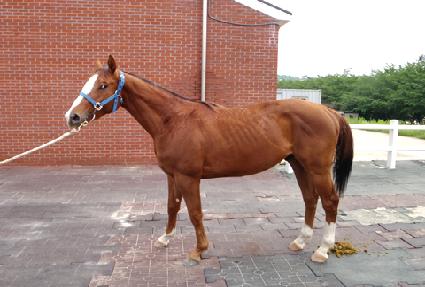 ���õ���� ����