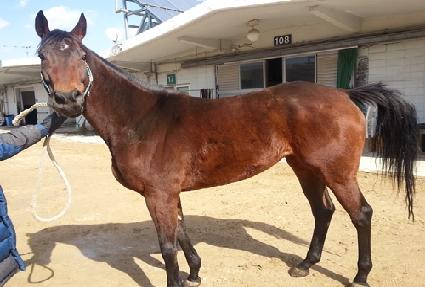 ������ŷ�� ����