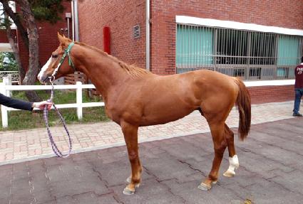 ���νŹ��� ����