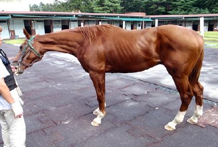 Ȳ���ʺ� ����