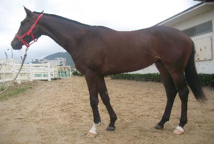 ���̺��� ����