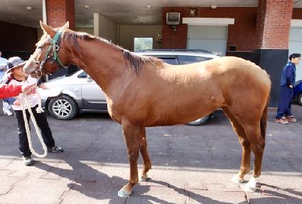 ����극�̺� ����