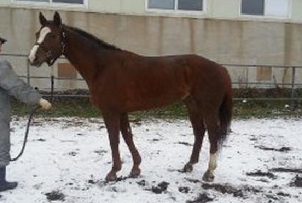 �Ӵ��� ����