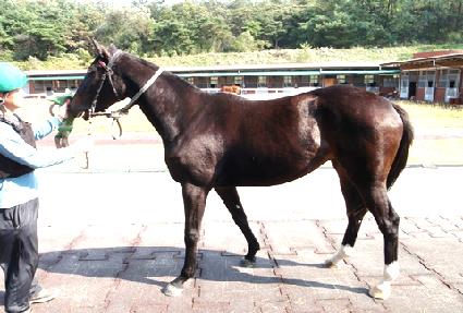 �������� ����