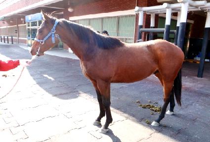 ��ö�� ����