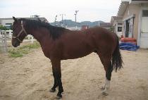 ���ν�ȭ (CHOIN SINHWA) ����