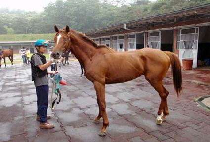 ��Ƽ�� ����