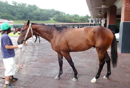 ���꼺 ����