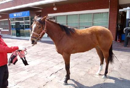 �ʿ���� ����