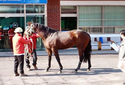 �ʿ�Ŭ���� ����