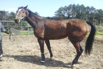 �ʿ����� ����