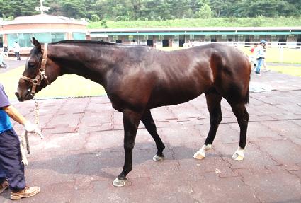 ����Ʈ�극�� ����