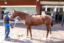 ���湫�� (DONGBANG MUPAE) ����