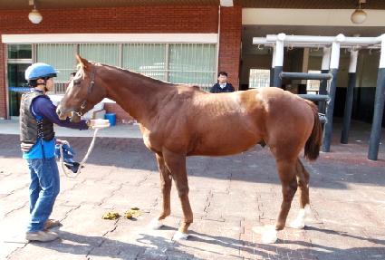 ���湫�� ����