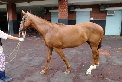 ������ ����