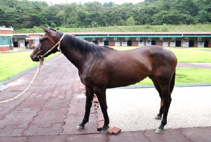 �ۿ����� ����