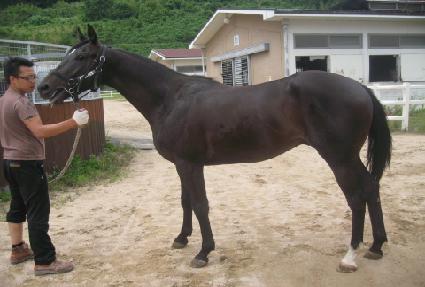 ��������Ʈ ����