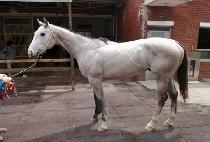 Ư�޿��� (TEUKGEUP YECHAN) ����