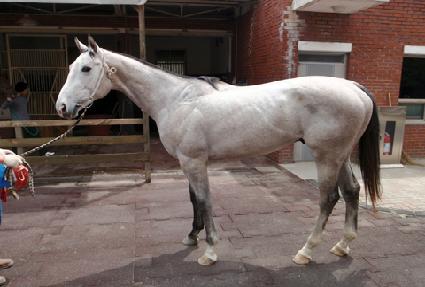 Ư�޿��� ����