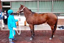 ���ϰ� (ROCKET GIRL) ����