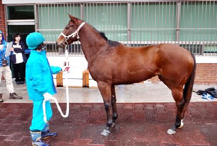 ���ϰ� ����