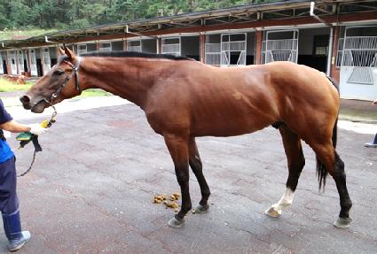 �̻��ϻ轺 ����