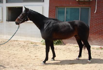 �ʸ� ����