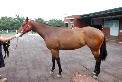 ���ο� ����