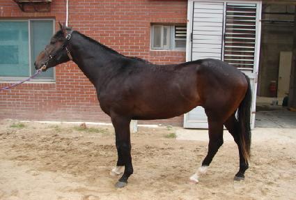 ��ǳ��� ����