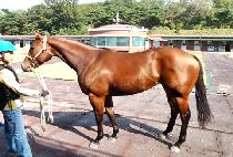 ������õ�� (GIJEOGUI CHEONSA) ����