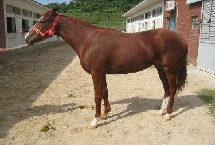 �̱׷����ʿ� ����