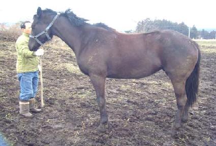 ���ؾ� ����