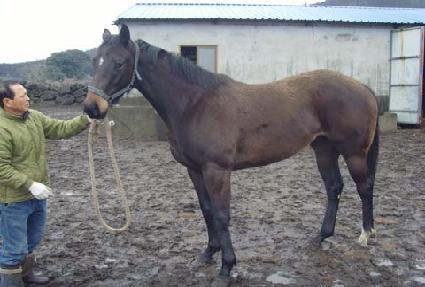 ���� ����