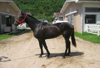 �����̱� ����