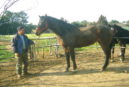 ��Ʈ���� ����