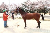 �����÷��̽� (HIGH PLACE) ����